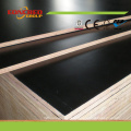 18mm Film Faced Plywood, Plywood Marine for Concrete Formwork